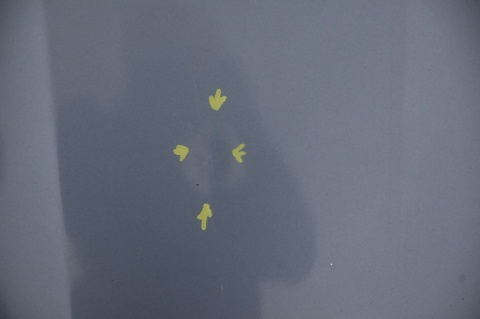 MASKA POKRYWA SILNIKA SKODA FABIA II ROOMSTER 9154